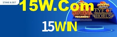 Premium Interface 15WIN
